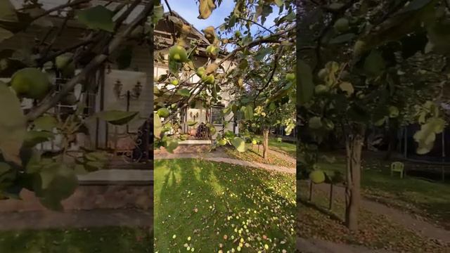 красота природы ближе, чем вы думаете смотреть онлайн