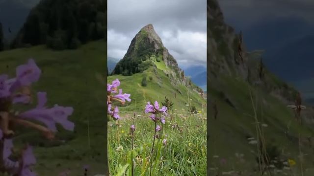 красота природы