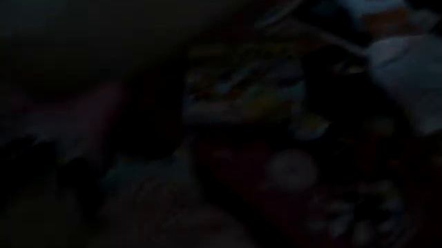 Перепелиных яйца из магазина/ 2 часть / 2 сутки смотреть онлайн