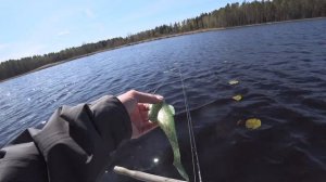 Этот Силикон Манит КРУПНУЮ ЩУКУ. Ловля Щуки На Крупный Силикон.