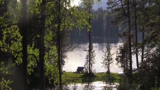 Освидетельствования мест массового отдыха людей у воды на берегу Телецкого озера смотреть онлайн