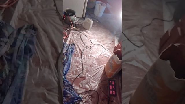 поет душа смотреть онлайн