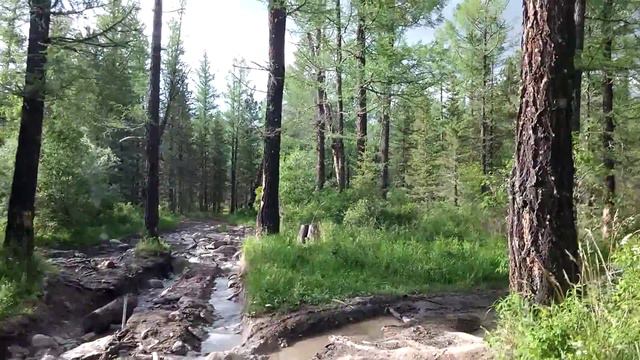Дорога с Нижнего Мультинского озера смотреть онлайн