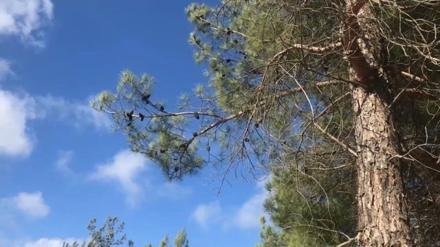 Кабардинка Мыс Дооб продается земля смотреть онлайн