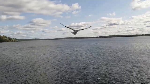 ?? Набережная г. Себеж смотреть онлайн