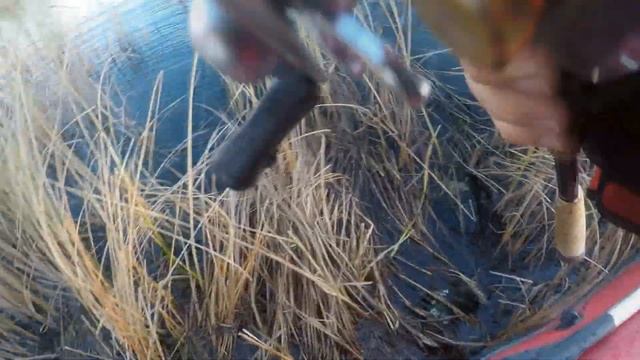 Ловля щуки осенью на джерк! Как ловит Srtike Pro Buster Jerk II? смотреть онлайн