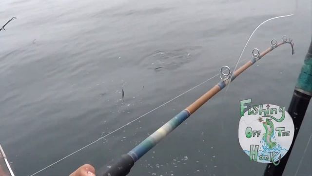 It's 'Cuda Time! - Fishing Off the Hook смотреть онлайн