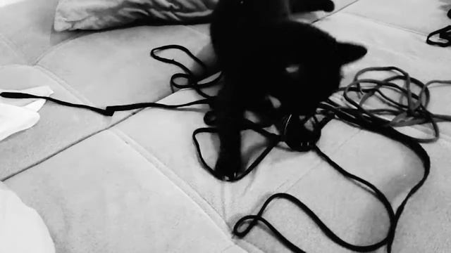 #4 Милахи/Алиса опять отжигает 😊.