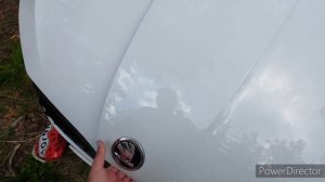 Газовые упоры капота на шкода рапид 2021