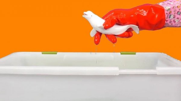 [EN] Let's raise a bowhead whale! animals names for kids, coco's animation, collecta #196ㅣCoCosToy