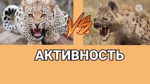 Леопард против Гиены