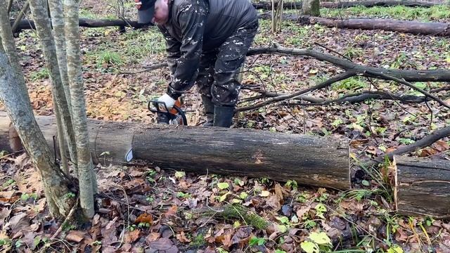 Заготовка дров бензопилой STIHL MS 250. ЗДК-175 4ШП прокатились на квадрике. смотреть онлайн