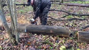 Заготовка дров бензопилой STIHL MS 250. ЗДК-175 4ШП прокатились на квадрике.