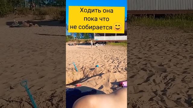 А у вас так же проходит отдых с детьми? #семья #отдыхсдетьми #пляж смотреть онлайн