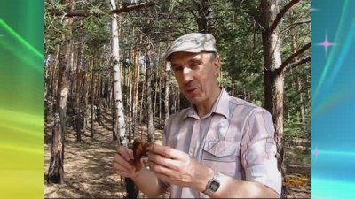 Обзоры изобретений и новости технологий