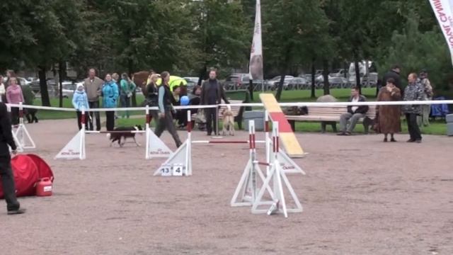 Кубок СПб по аджилити, 15.09.12г, Планета друзей v55 смотреть онлайн