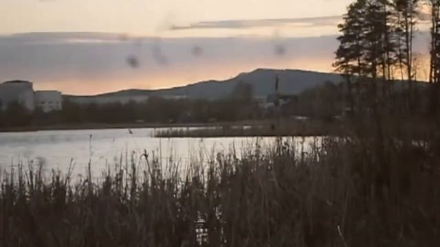 Рыбалка.Карася поймали,сезон открыли.Фидерная ловля г.Кыштым, смотреть онлайн