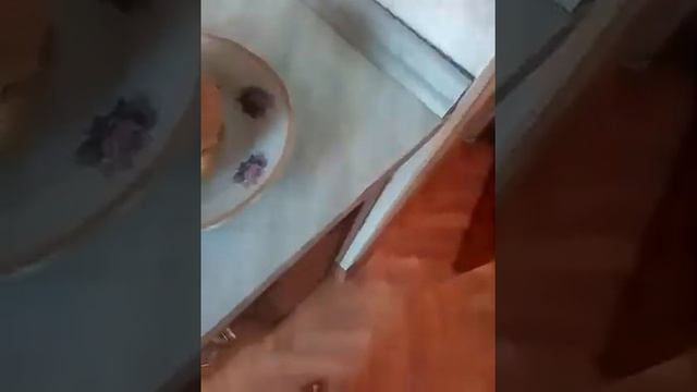 Как сделать бургер за 5 минут смотреть онлайн