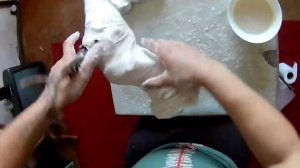 Таксидермия голова косули часть 3 формирование манекена