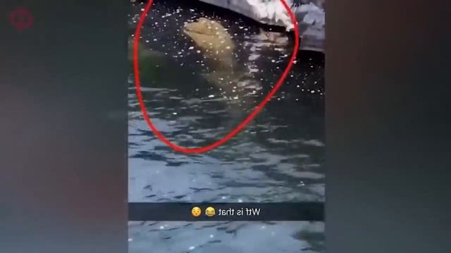 ЭТИ ВИДЕО НИКТО НЕ МОЖЕТ ОБЪЯСНИТЬ... ДАЖЕ УЧЕНЫЕ смотреть онлайн