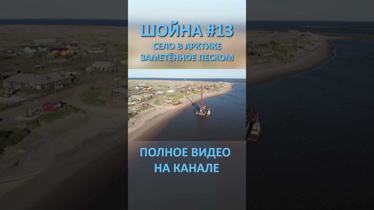ШОЙНА SHOYNA 13 SHORTS #SHORTS смотреть онлайн
