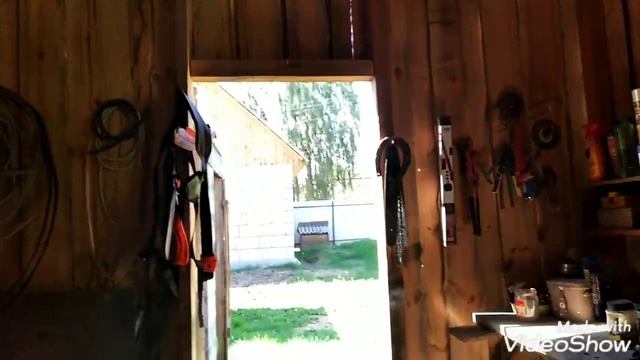 САМЫЙ БЫСТРЫЙ ЗАРАБОТОК В ДЕРЕВНЕ!Привожу примеры из собственного опыта смотреть онлайн