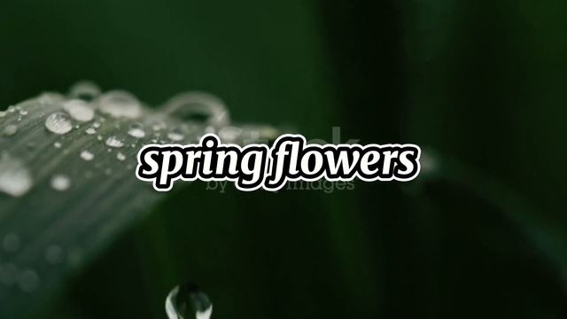 Это классное видео сделано в CapCut. Опробуйте это приложение по ссылке! Https://www.capcut.com/