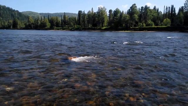 В верховьях Томи