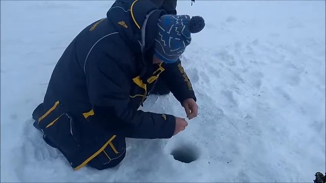 Пудыши 23,01,2022 смотреть онлайн