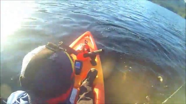 Kayak Fishing Hartley Bay BC "Up the Lake" смотреть онлайн
