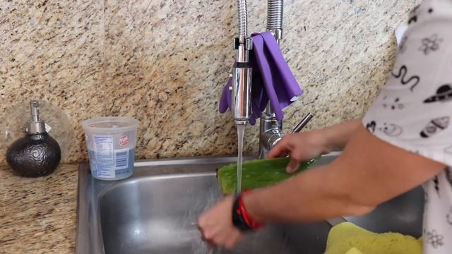 Aprende un poco sobre el Aloe смотреть онлайн