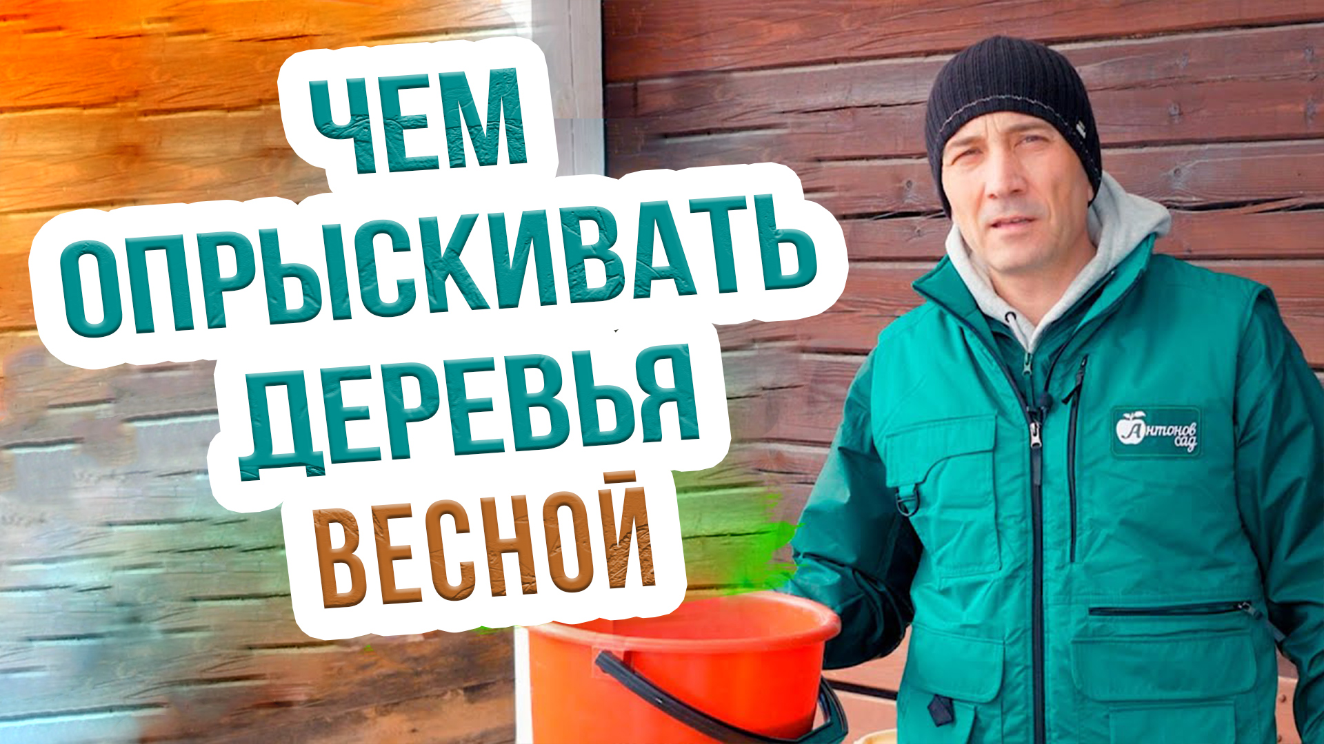 Правила весенней обработки сада. Чем опрыскивать деревья весной для защиты от болезней? смотреть онлайн