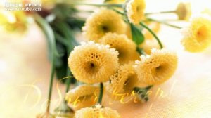 КРАСИВЫЕ ПЕСНИ ОБО ВСЁМ...ДОБРЫЙ ВЕЧЕР!