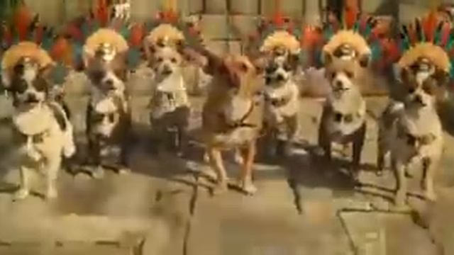Beverly Hills Chihuahua Song(SUPER HQ) смотреть онлайн