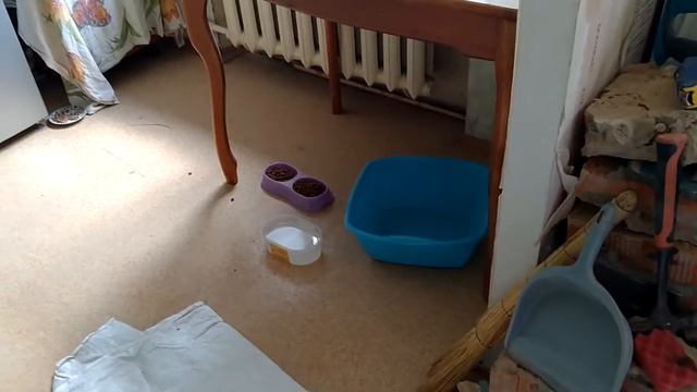 Комплексный ремонт санузла.Глобальный демонтаж окончен. смотреть онлайн