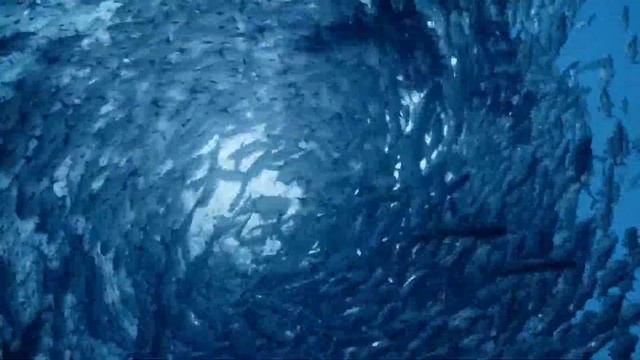 ABZU-Открой все тайны Океана. смотреть онлайн