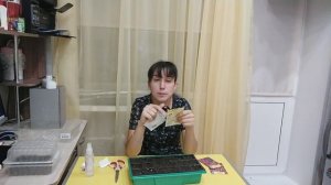 Сеем к 8 марта цинерарию гибридную и эустому