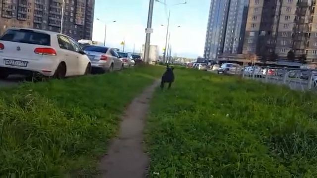 Джун и игрища 😎 смотреть онлайн