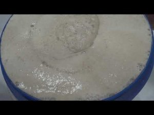 Брага из ржаной муки на ферментах по ХОС методу