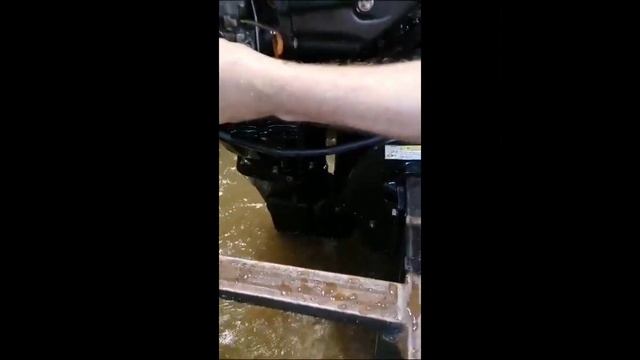 Лодочный мотор Suzuki DF30 гидроподъем, 00-00006553 смотреть онлайн