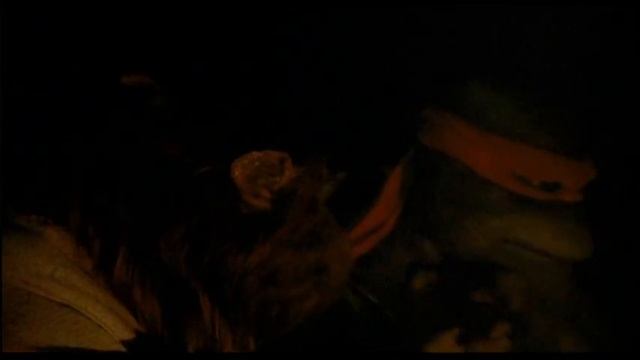 Teenage Mutant Ninja Turtles (1990)- Raphael and Splinter смотреть онлайн