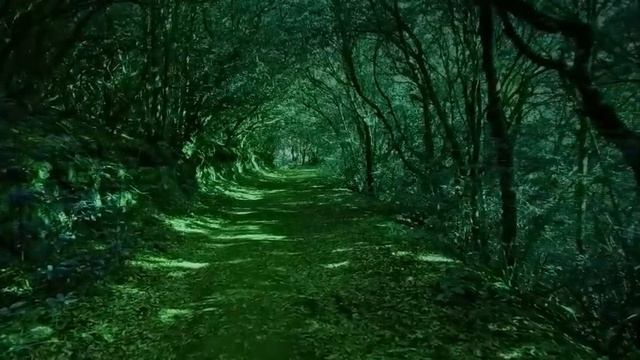 Как содержать энергетическое поле в чистоте смотреть онлайн