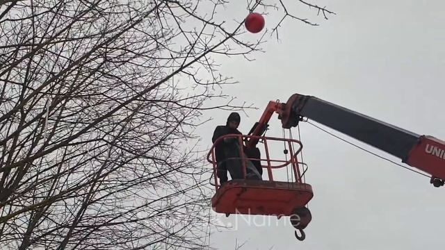 С деревьев в центре Обнинска снимают зимние «яблоки» смотреть онлайн
