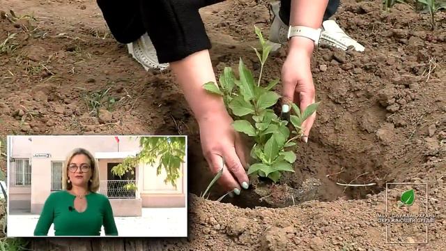 #Росмолодежь #Грант #сохраняй_природу #экология #Волжский Фотозона #МыЗаЭкологию #Юлия_Иодзевич