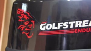 Мотор лодочный GOLFSTREAM F9.9ABMS Enduro