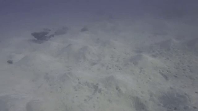 Orca Coral Garden Februar 2019