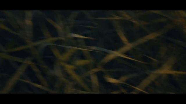 KARPIOWANIE W UPAŁY PRAWIE ZEMDLAŁEM 46stC смотреть онлайн