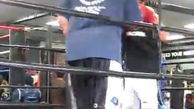 scrappy - Kid Gloves Boxing, Simi Valley смотреть онлайн