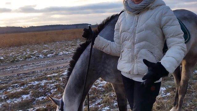 ПЕШКОМ в Звенигород|Москва Река Плывущие льдины и Конь Манул смотреть онлайн