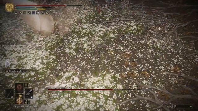 Elden ring Лучший билд на ловкость в игре 1.05 патч смотреть онлайн